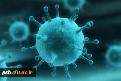 مطالب آموزشی درمورد آنفولانزا 4